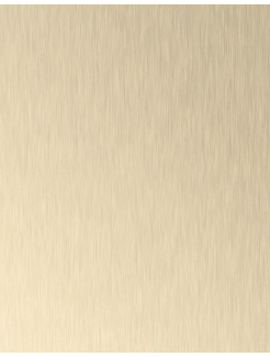 AL02 Brushed Platinum