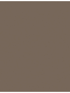 7166 AG Latté lesklá (RAL7006)