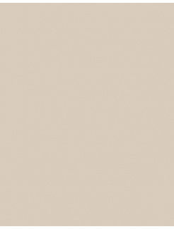 7045 AM Saténovo matná (Pantone 7527C)