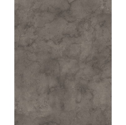 K539 PN Fossil Arosa